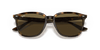 [Dark Brown Lenses, Polished Havana Frame]