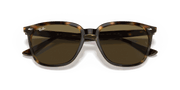 Dark Brown Lenses, Polished Havana Frame