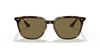 [Dark Brown Lenses, Polished Havana Frame]