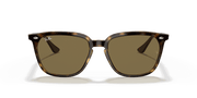 Dark Brown Lenses, Polished Havana Frame