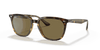 [Dark Brown Lenses, Polished Havana Frame]