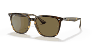 Dark Brown Lenses, Polished Havana Frame