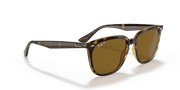 B-15 Brown Lenses, Polished Havana Frame