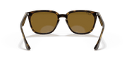 B-15 Brown Lenses, Polished Havana Frame