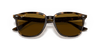 [B-15 Brown Lenses, Polished Havana Frame]