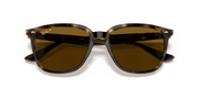 B-15 Brown Lenses, Polished Havana Frame