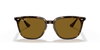 [B-15 Brown Lenses, Polished Havana Frame]