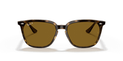 B-15 Brown Lenses, Polished Havana Frame