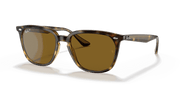 B-15 Brown Lenses, Polished Havana Frame