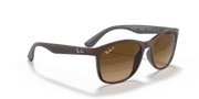 Brown Lenses, Polished Brown On Grey Frame