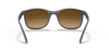 [Brown Lenses, Polished Brown On Grey Frame]