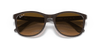 [Brown Lenses, Polished Brown On Grey Frame]