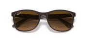 Brown Lenses, Polished Brown On Grey Frame