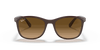 [Brown Lenses, Polished Brown On Grey Frame]