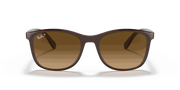 Brown Lenses, Polished Brown On Grey Frame