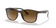 Brown Lenses, Polished Brown On Grey Frame