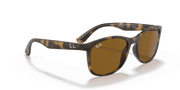 Brown Lenses, Polished Havana Frame