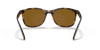 [Brown Lenses, Polished Havana Frame]