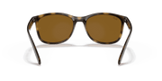 Brown Lenses, Polished Havana Frame