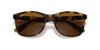 [Brown Lenses, Polished Havana Frame]