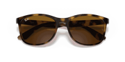 Brown Lenses, Polished Havana Frame