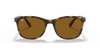 [Brown Lenses, Polished Havana Frame]