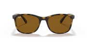 Brown Lenses, Polished Havana Frame