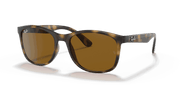 Brown Lenses, Polished Havana Frame