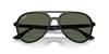 [Dark Green Lenses, Polished Black Frame]