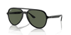 [Dark Green Lenses, Polished Black Frame]