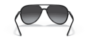 Grey Gradient Lenses, Polished Black Frame