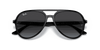 [Grey Gradient Lenses, Polished Black Frame]