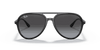 [Grey Gradient Lenses, Polished Black Frame]