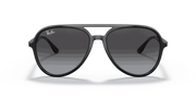 Grey Gradient Lenses, Polished Black Frame