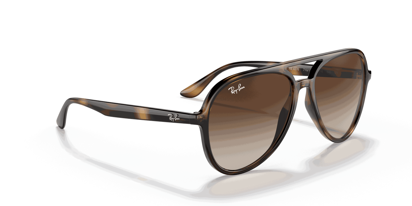 [Brown Gradient Lenses, Polished Havana Frame]