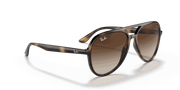 Brown Gradient Lenses, Polished Havana Frame