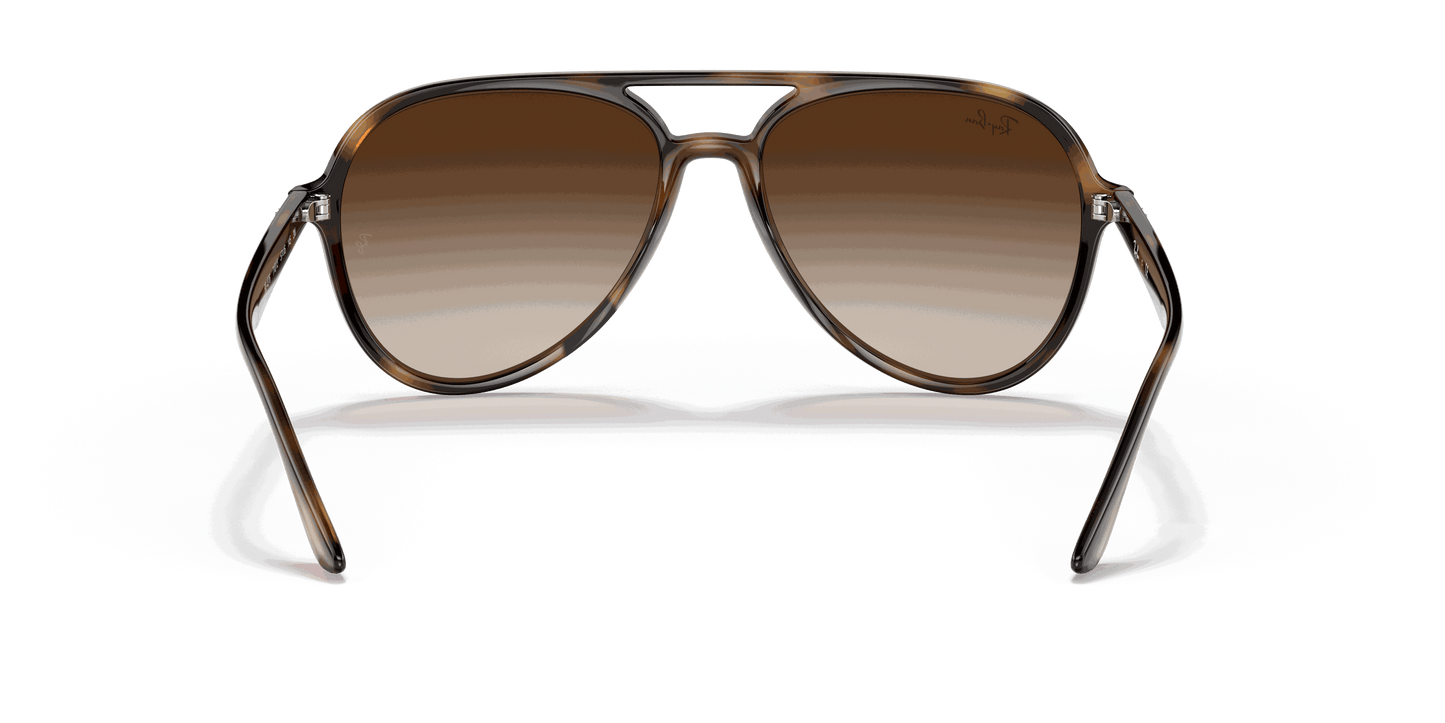 [Brown Gradient Lenses, Polished Havana Frame]