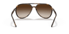 [Brown Gradient Lenses, Polished Havana Frame]