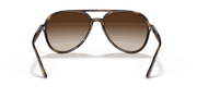 Brown Gradient Lenses, Polished Havana Frame