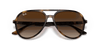 [Brown Gradient Lenses, Polished Havana Frame]