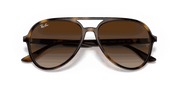 Brown Gradient Lenses, Polished Havana Frame