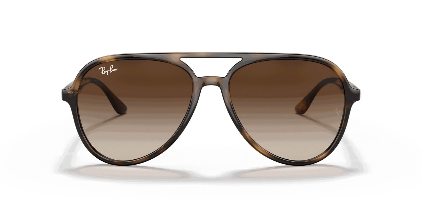 [Brown Gradient Lenses, Polished Havana Frame]