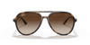 [Brown Gradient Lenses, Polished Havana Frame]