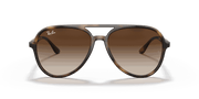 Brown Gradient Lenses, Polished Havana Frame