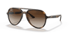 [Brown Gradient Lenses, Polished Havana Frame]