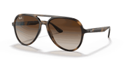 Brown Gradient Lenses, Polished Havana Frame