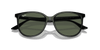 [Dark Green Lenses, Polished Black Frame]