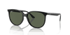 [Dark Green Lenses, Polished Black Frame]