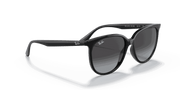 Grey Gradient Lenses, Polished Black Frame