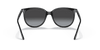 [Grey Gradient Lenses, Polished Black Frame]